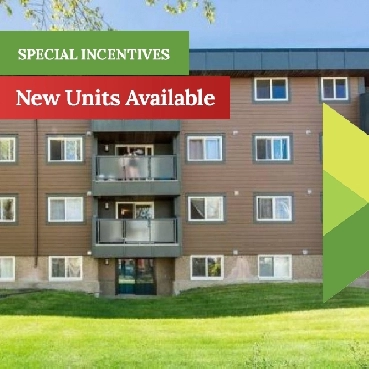 Winston Manor Apartments - 1 Bedroom Apartment for Rent