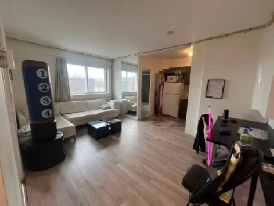 APPARTEMENT RÉNOVÉ – INTERNET INCLUS – MÉTRO – BALCON – ÉLECTROS