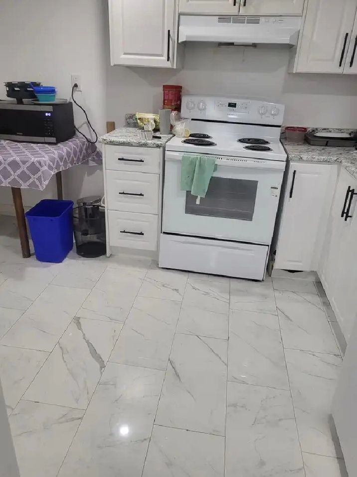 Basement rent to a family/group of professional worker's