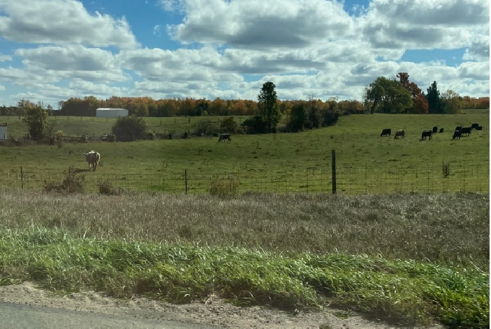 CONSIDERING SELLING YOUR VACANT LAND? ...