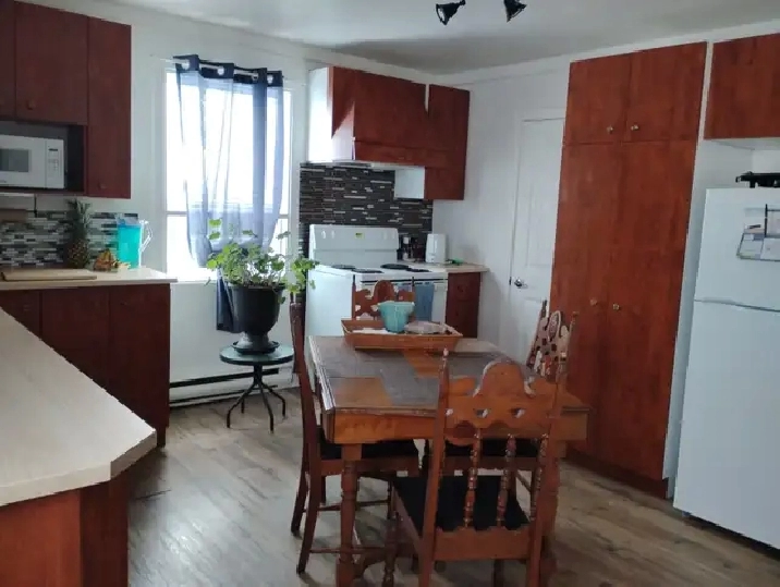 4 1/2 St-Jérôme RDC Duplex Enquête crédit514-9099437