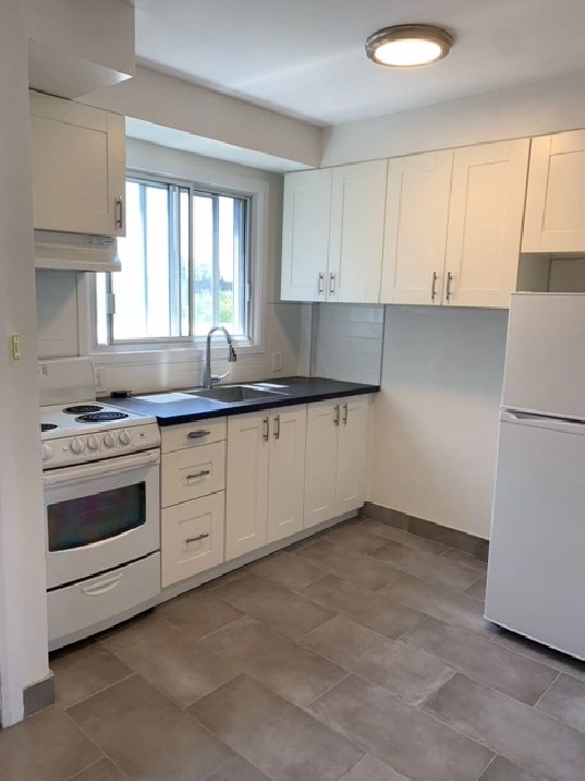 Grand 2 1/2 Rénové Metro Jean-Talon