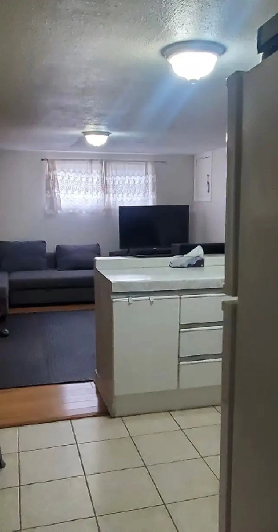 Malton - Basement Apartment (1 bed/1 bath) for rent