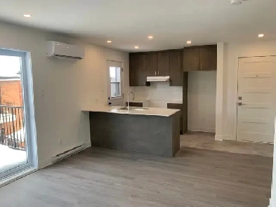 Appartement Grand 3 1/2 Laval à louer