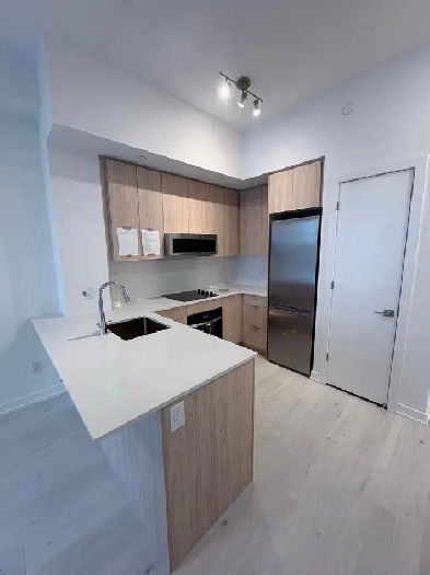 1 bedtoom plus den condo