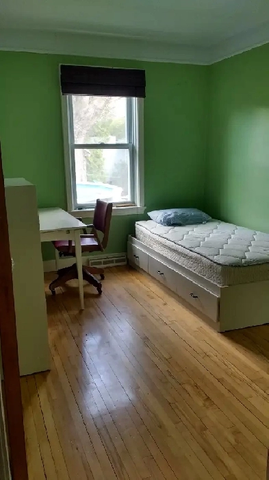 Chambre à louer Sherbrooke 350$