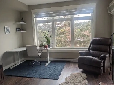 Beautiful 1 bedroom 1 bath apartment across from TRU Kamloops