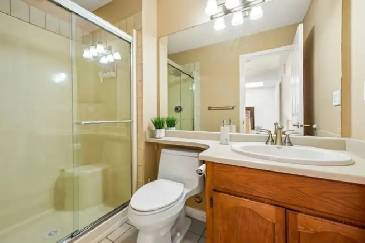 ✨ New Rental Alert!