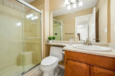 ✨ New Rental Alert!