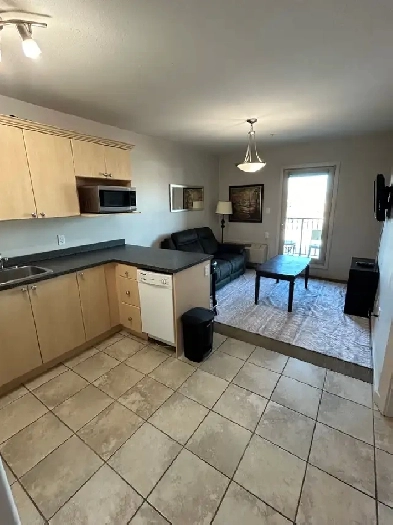 607-8528 Manning Ave