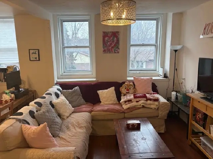 Cozy 31/2 apartment, 2 min walking Charlevoix metro, Jul 1st