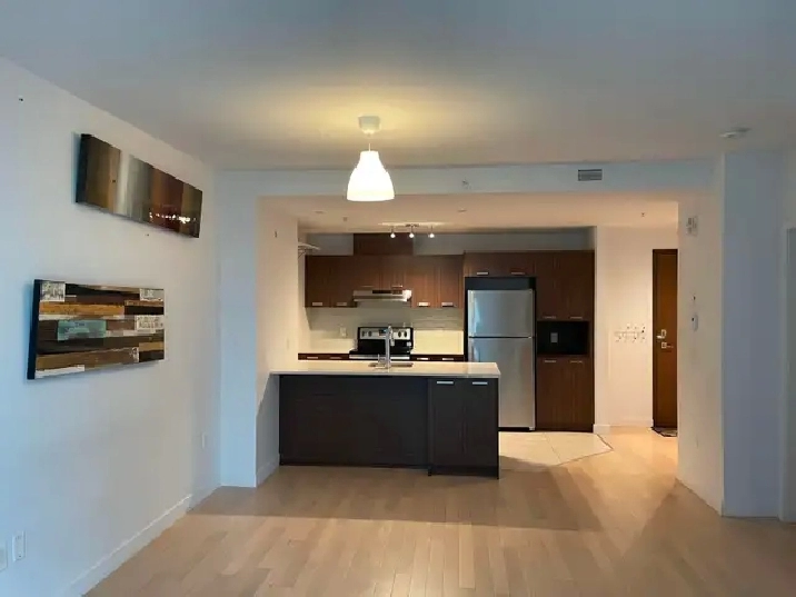 Fantastic One Bedroom Apartment Near metro Angrignon for May