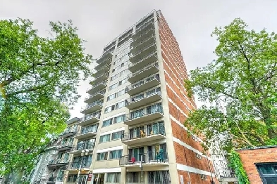 Studio for rent - one month free