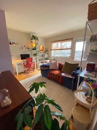 Hochelaga Maisonneuve 41/2, Métro Pie-IX