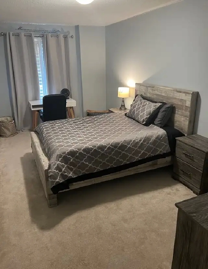 North Oshawa Large Room Rental -Single Occupancy- Female Student