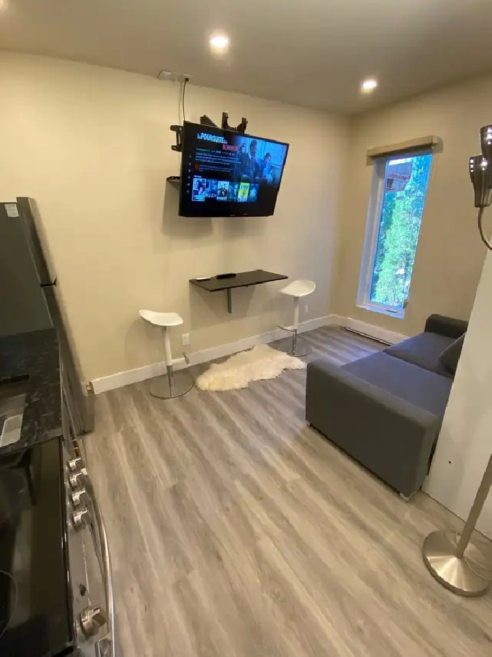 995$/mois-À Louer - Mini-Studio Moderne Completement Meublé.