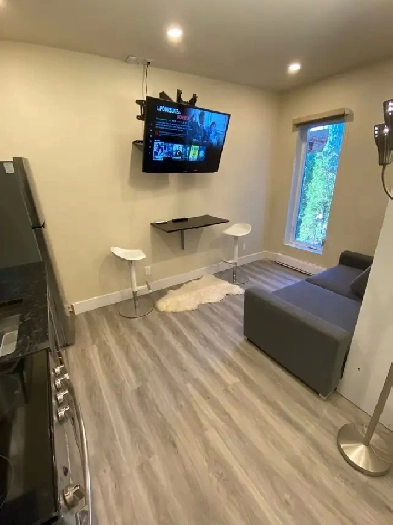 995$/mois-À Louer - Mini-Studio Moderne Completement Meublé.