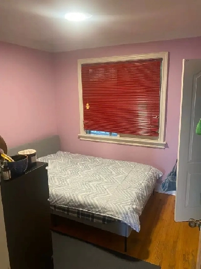 May 1: Female Roommates wanted