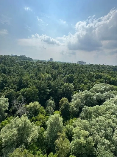 Furnished, Bright  Apartment Master Bedroom Near UTSC Centennial