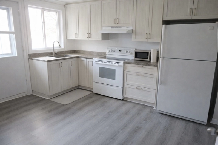 3 1/2 - Demi sous-sol - 995$ internet