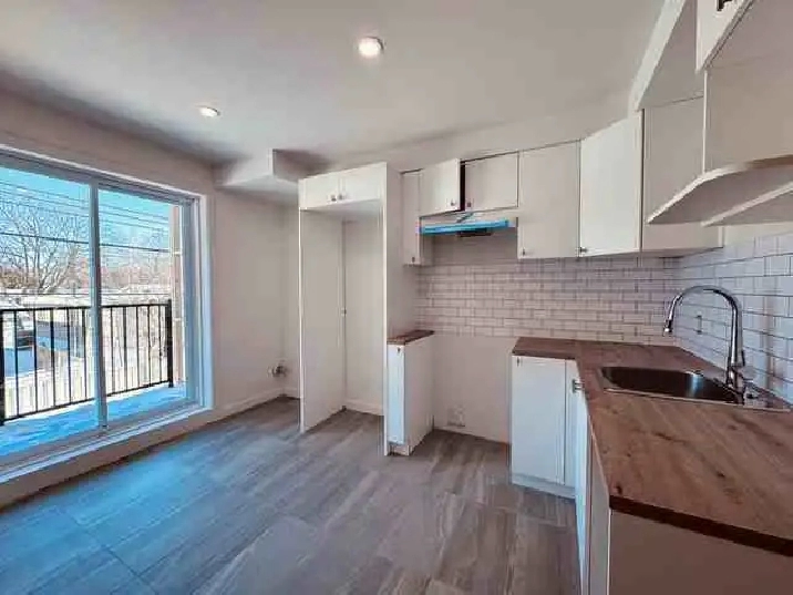 Pointe-aux-trembles 4/12 neuf, chiens acceptés 1er juillet 2026