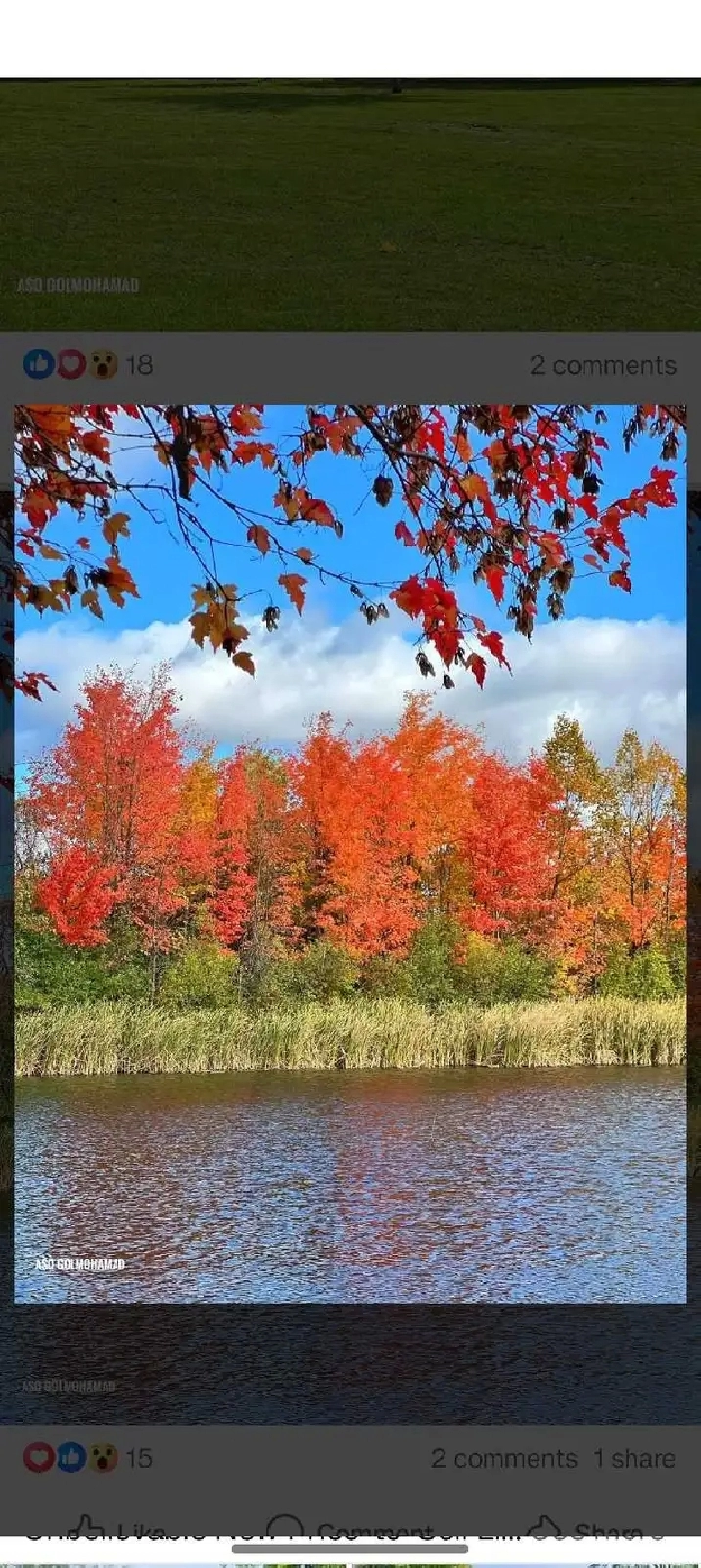 looking for a studio apartment or basement for rent