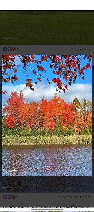 looking for a studio apartment or basement for rent