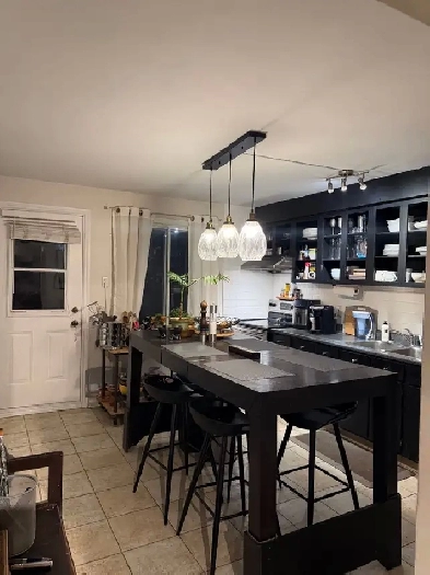 Grand 5 1/2 Quartier Rosemont