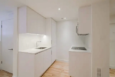 Studio Basement/ Sous-sol near blvd Saint-Laurent - ID 1410