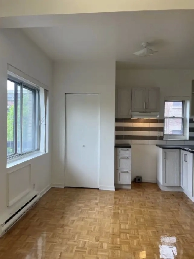 one bedroom near McGill - ID 3374