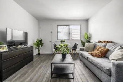 Loft entièrement meublé à louer Sainte-Foy / Sillery avril 2026