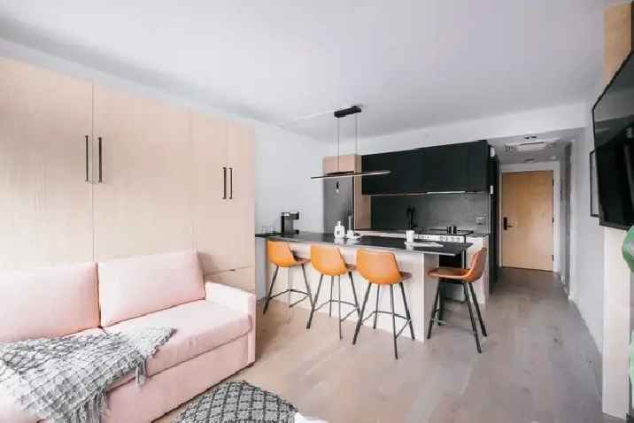 Loft entièrement meublé à louer Saint-Jean-Baptiste septembre 20