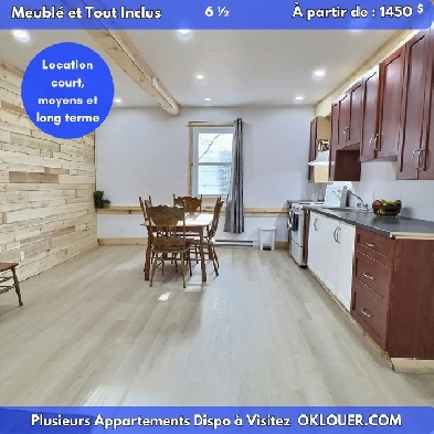 Grand 6 1/2 meublé – 4 chambres – Tout inclus – Centre-ville