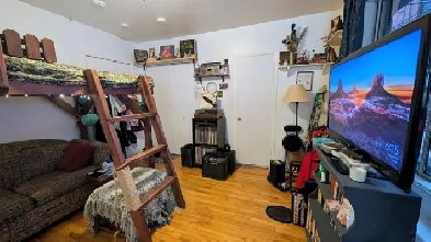 Studio 1 1/2 tranquille, bien situé - Plateau Mont-Royal