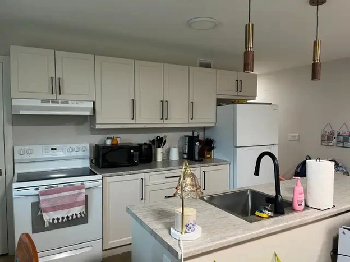 New Builds and Recently Renovated Apartments