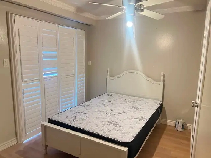 One bed room with private bathroom available immediately