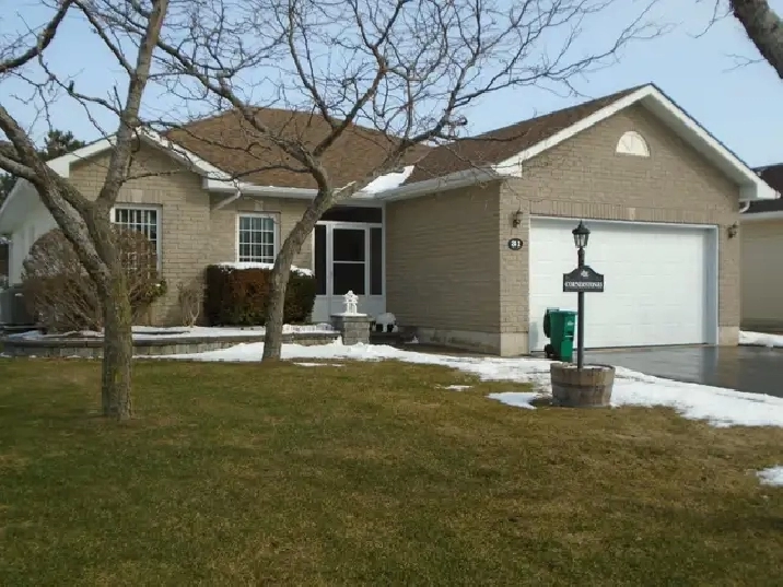 Sunday  March 18th O/H 1-3pm