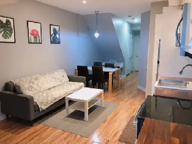 Private Furnished Walk-Out unit (Female house, North York)