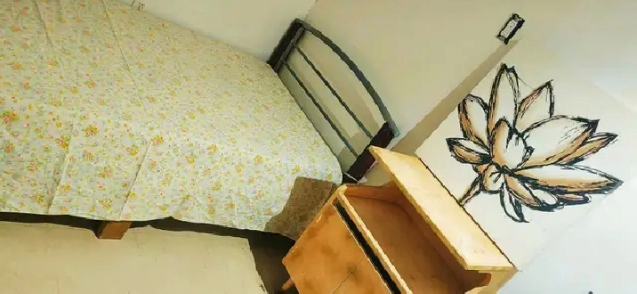 ✨Nice Furnished 2 rooms in Basement  Private Entrance