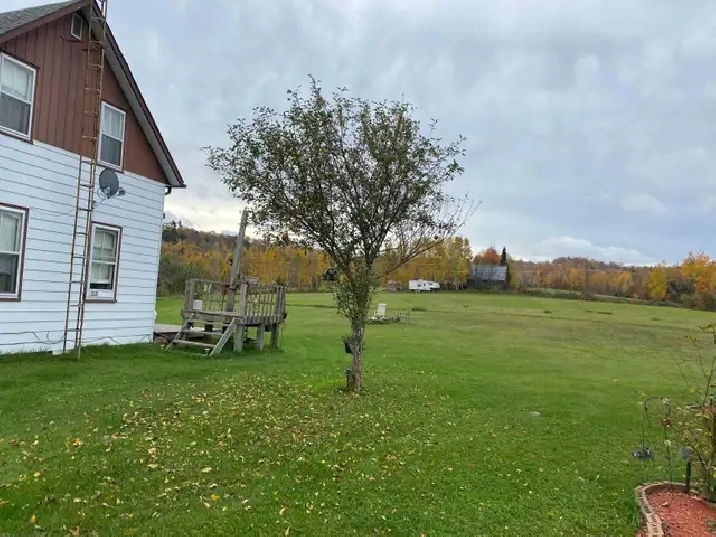 Agricultural field for rent