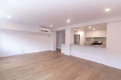 fully renovated 1-bed condo, July 1, Mount-Royal, TMR - ID 4459