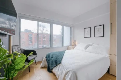 3 ½ entièrement meublé à louer Saint-Jean-Baptiste octobre 2026