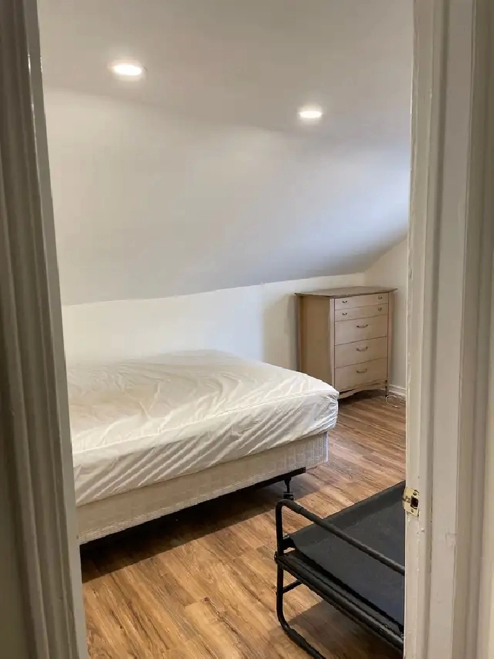 5-Bedroom Student Apartment in Kensington Market!