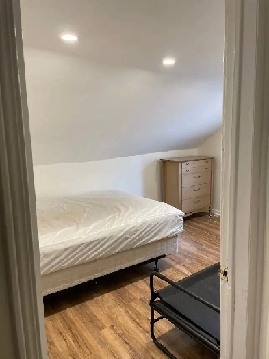 5-Bedroom Student Apartment in Kensington Market!