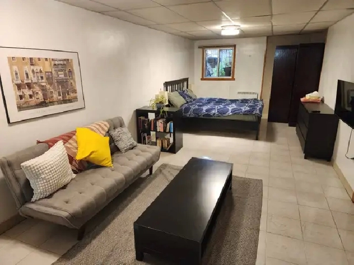 1 100$ Studio Métro Fabre Ligne Bleu.