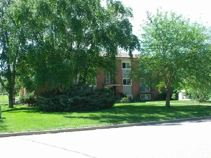 Large One Bedroom Apt near Rockway Golf Course – Newly Renovated