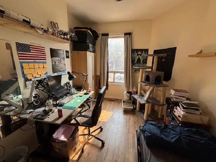 Furnished 3 bed student Apartment for rent near UofT and TMU