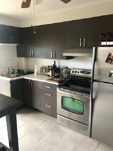 Rénové 4 1/2. Frigo et pôle inclus