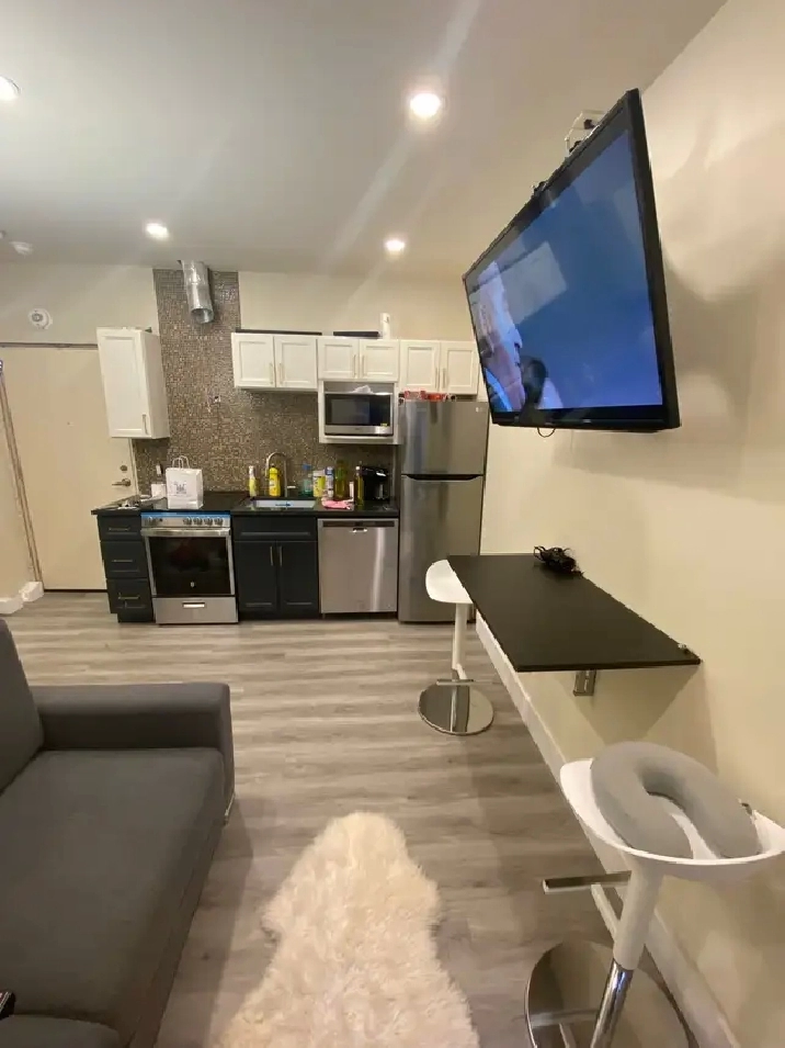 995$/mois-À Louer - Mini-Studio Moderne Completement Meublé.