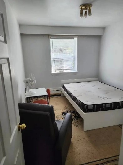 Furnished room all included avail now or May 1, Bathurst-Wilson